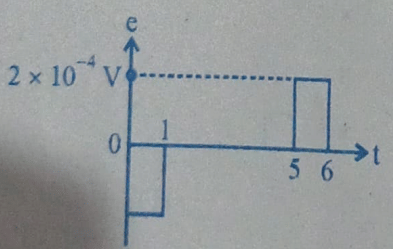 Option C