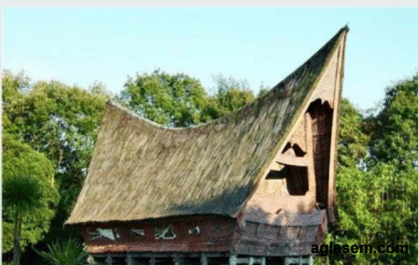 vernacular dwelling displays an architecture that is responsive to tropical climate