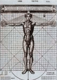 This famous drawing on human proportions is drawn by whom?