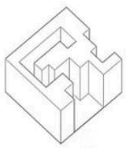 Identify the correct mirror view for the given 3 D volume