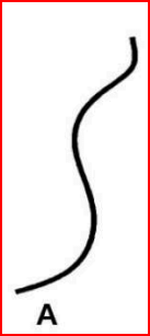  curves have same length-identify the ODD one 