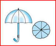 An umbrella has 8 ribs