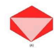 Identify the correct 3D figure from amongst the answer options