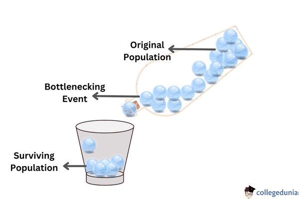 Genetic Drift