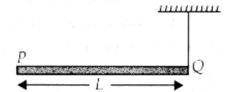A rod PQ of mass M and length L is hinged at end P
