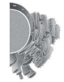 Organelle's figure