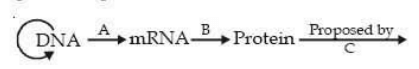 genetic implication of DNA