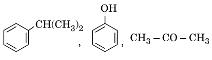 Option D