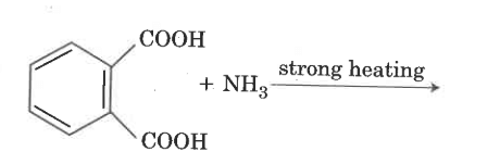Alternative_Text