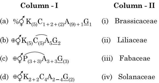 Match Column - I with Column - II.