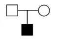 human pedigree analysis