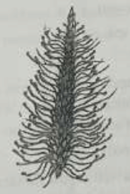 Identify the correct description about the given figure.