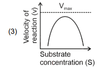 Graph 3