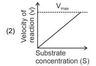 Graph 2