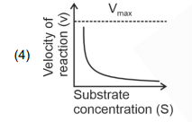 Graph 4