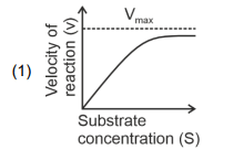 Graph 1