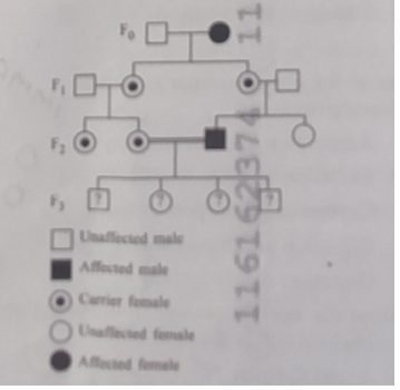pedigree, find out the probability for the birth of a child