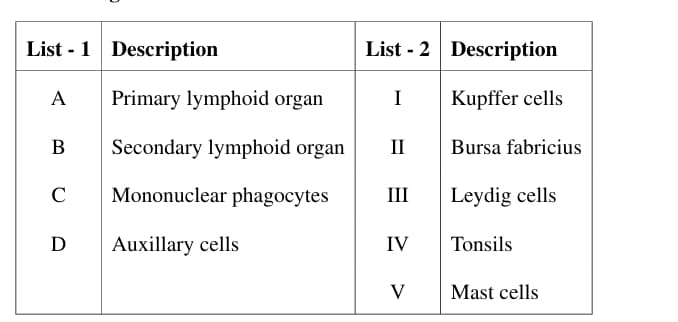 Primarylymphoidorgan