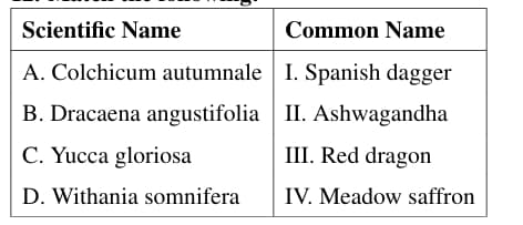 Scientific Names and Common Names