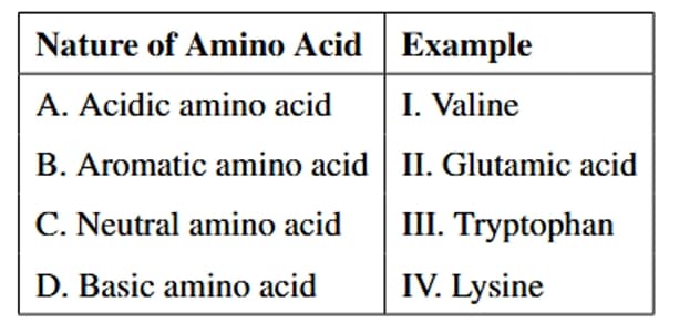 Amino Acid Classification