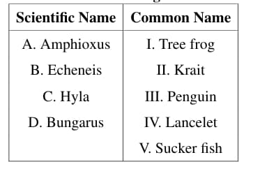 Scientific and Common Names