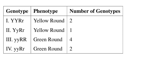 Dihybrid Cross and Phenotypes