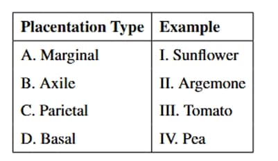  Placentation Types