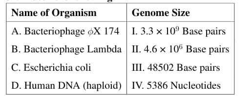  Genome Sizes