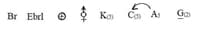 Floral formula of Solanum nigrum
