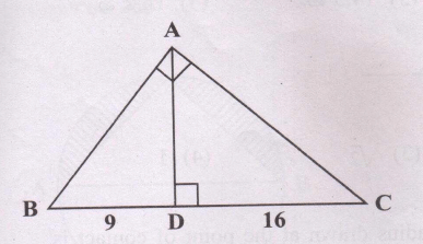  AD ⊥ BC, BD=9 cm