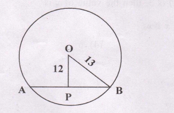 OB = 13 cm