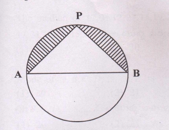 perimeter of the shaded portion