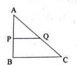 AP=3 cm, BP=2 cm