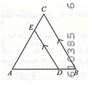 △ABC, if DE ∥ BC, AD = x, DB = x−2,