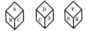 Dice
