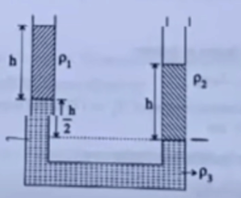 Three different liquids are filled in a U-tube
